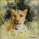 david shepherd original painting, leopard