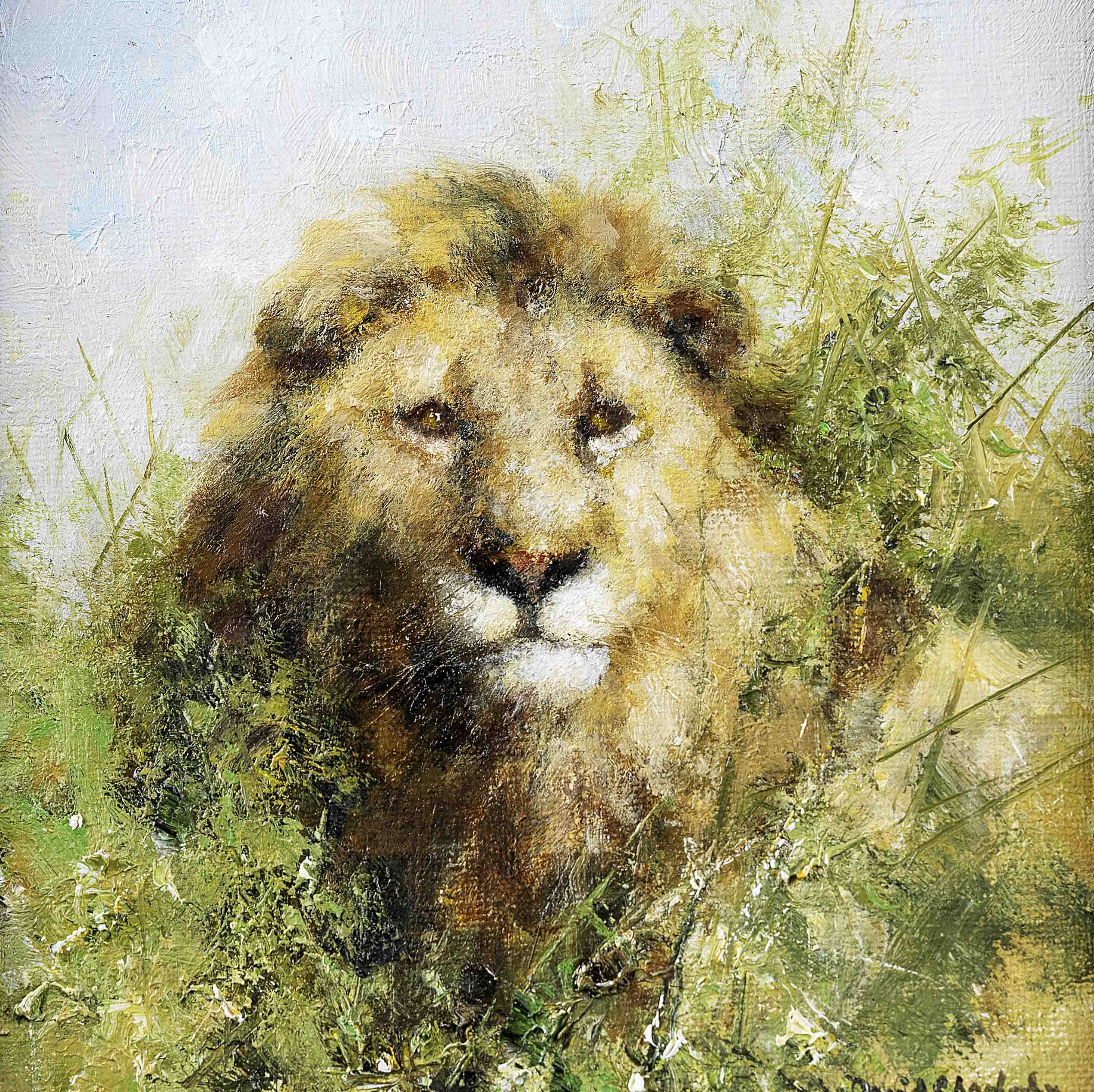 david shepherd , painting, lion, 7 david shepherd, original painting, lion, 7