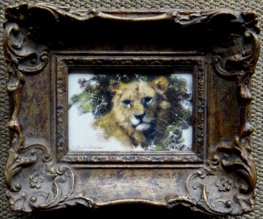 david shepherd original, lion cub, painting