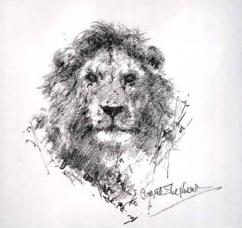 david shepherd lion, pencil sketch