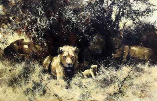 david shepherd lions original sold