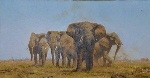 david shepherdherd of elephants original