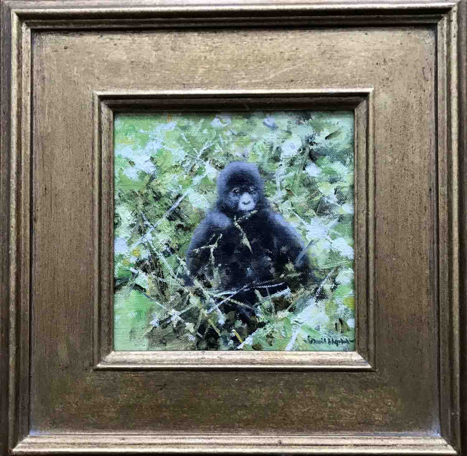 david shepherd original, baby gorilla, painting