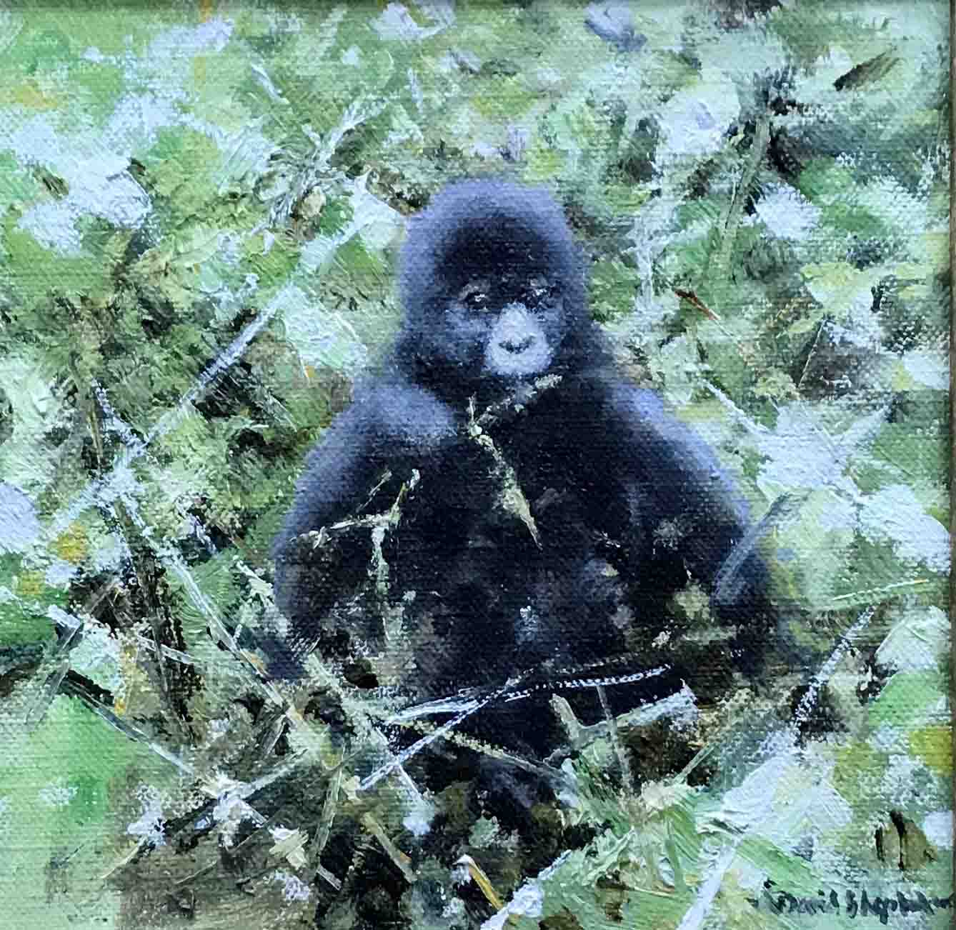 Baby Gorilla 16x20 original oil painting