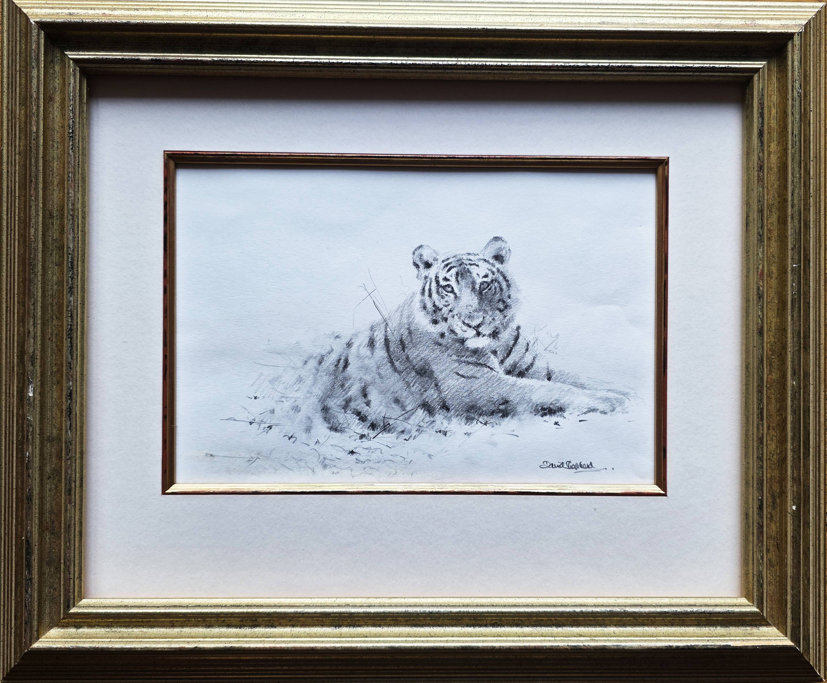 david shepherd original, tiger, pencil, drawing