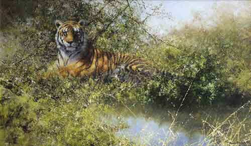 david shepherd tiger