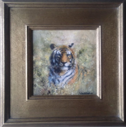 shepherd david tiger davidshepherd