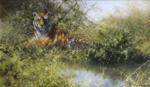 david shepherd, tiger, painting