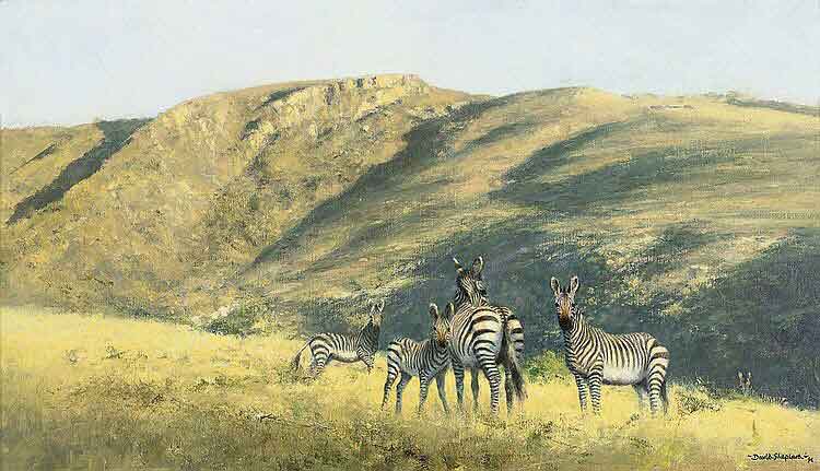 david shepherd zebra original