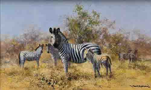 david shepherd, painting zebra