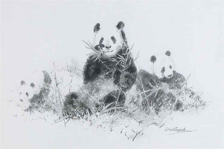 david shepherd pandas original drawing