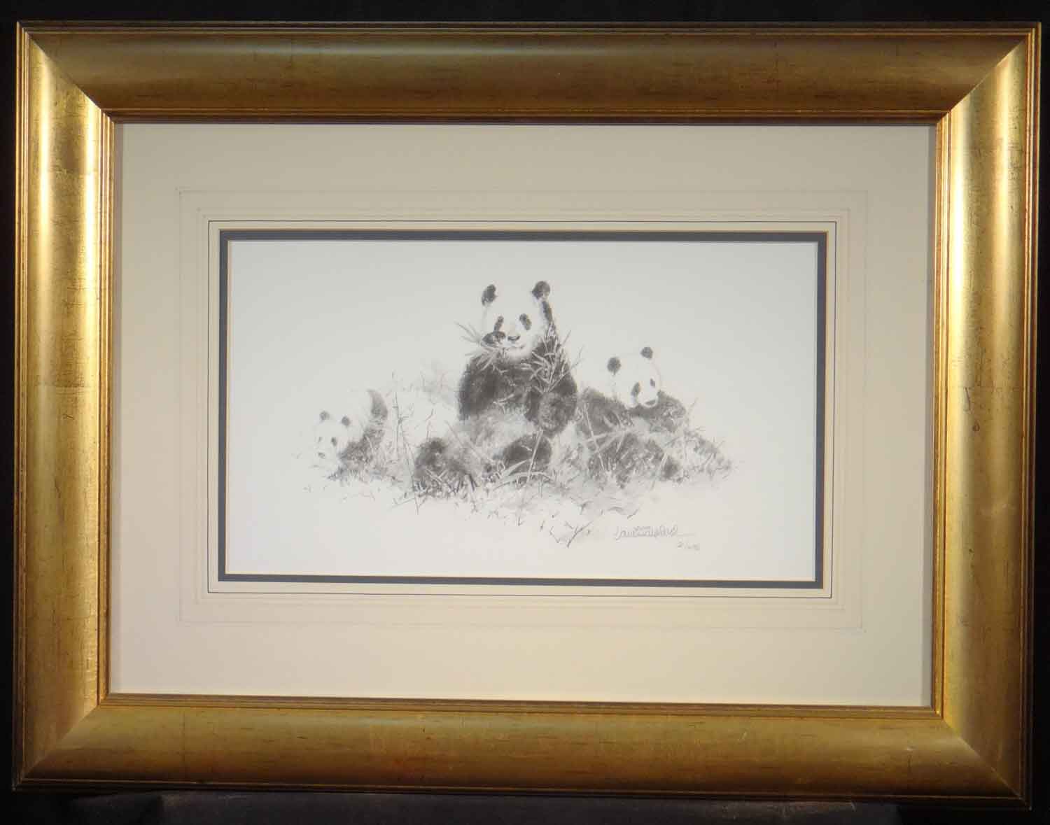 david shepherd pandas sketch 2006