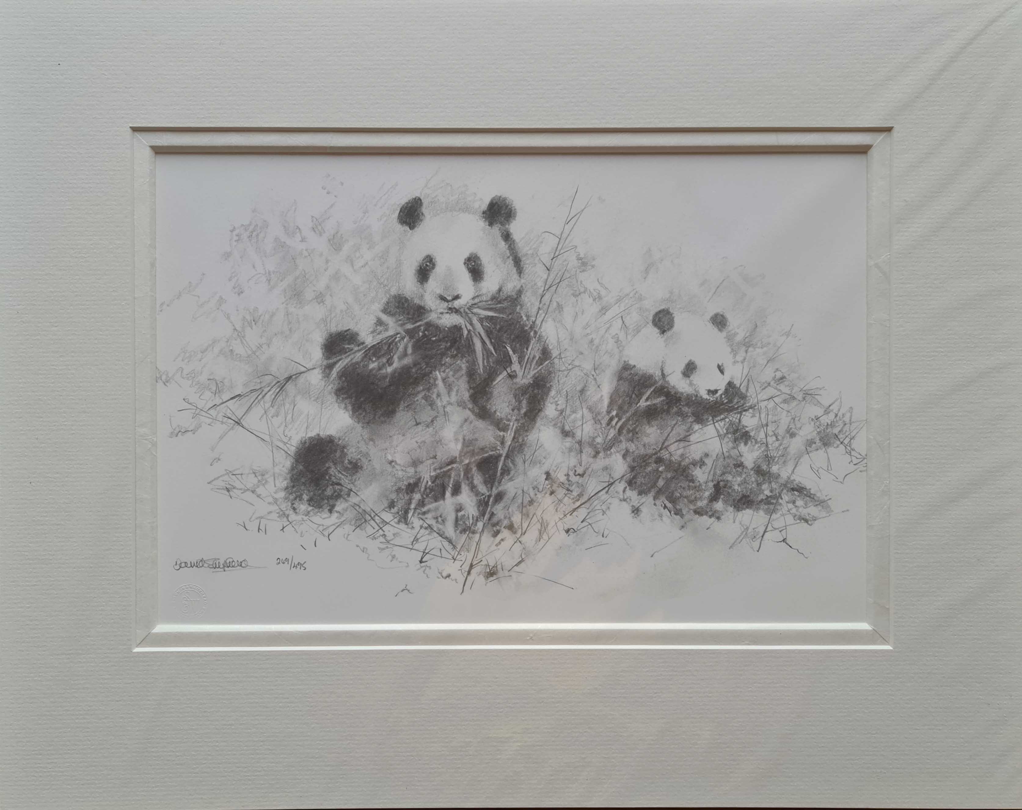 david shepherd pandas sketch 2006