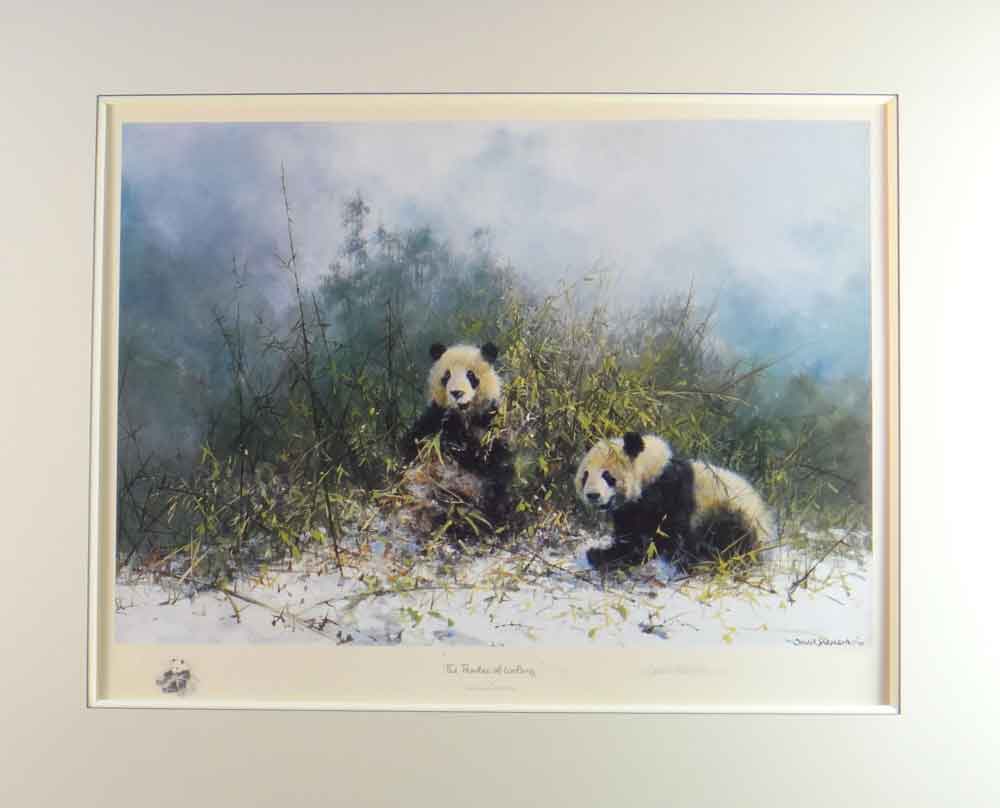 david shepherd, pandas of Wolong, print