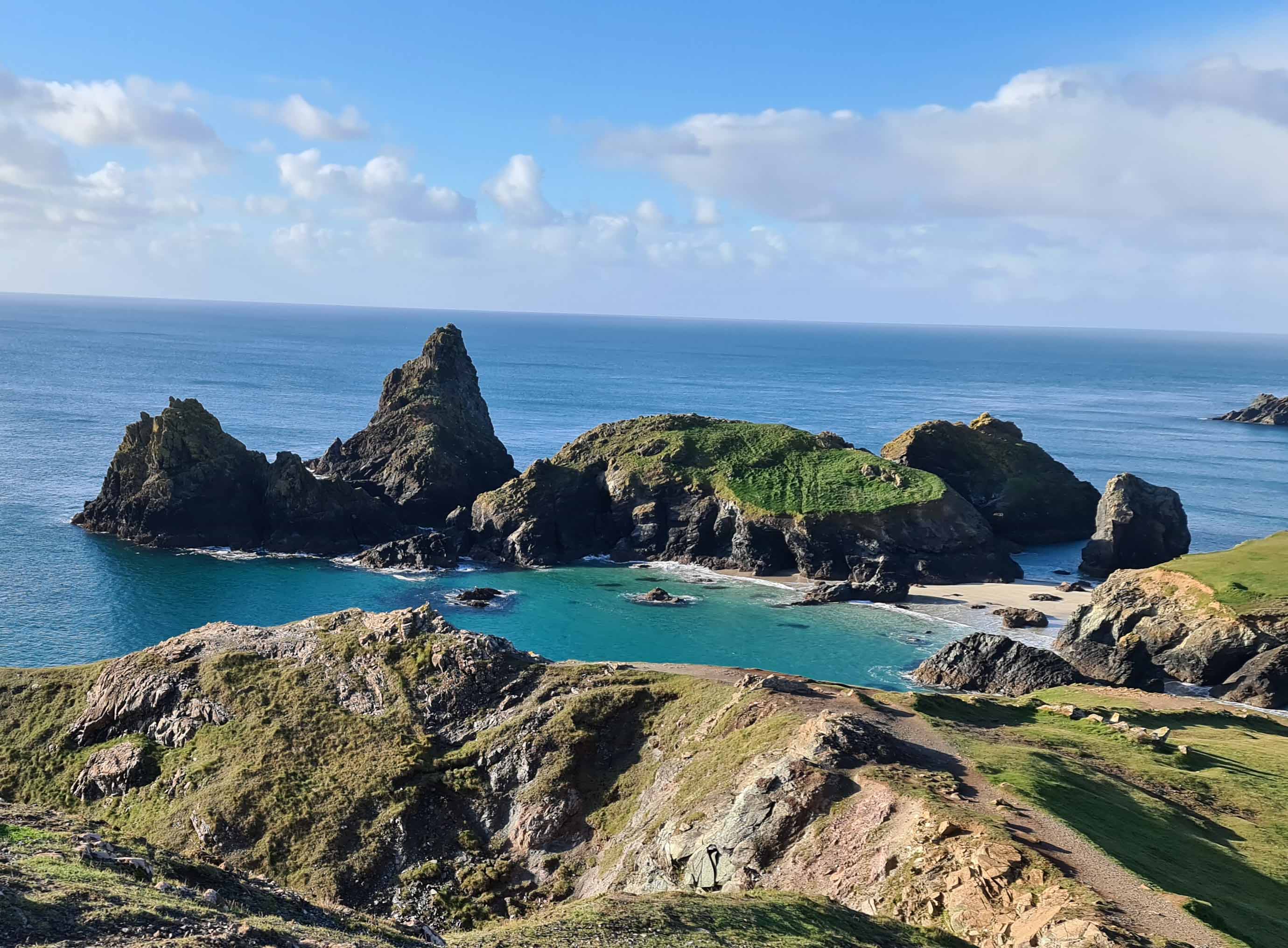 david shepherd, Kynance Cove, Cornwall, England, photo