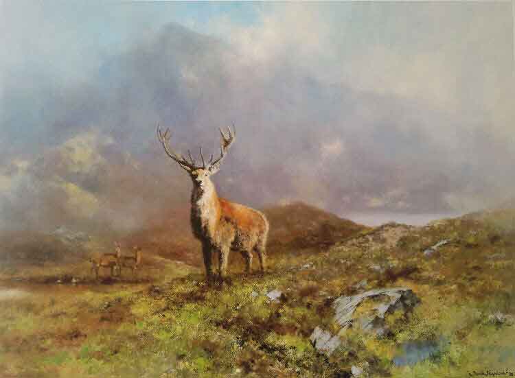 david shepherd rannoch moor, stag, print