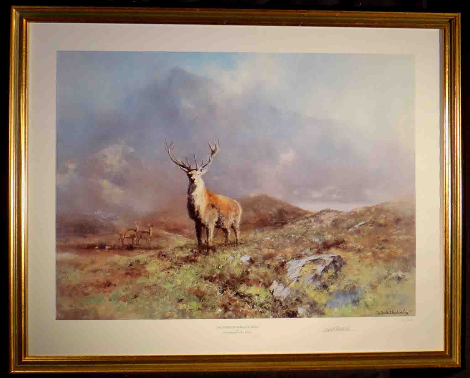 david shepherd rannoch moor, stag, print