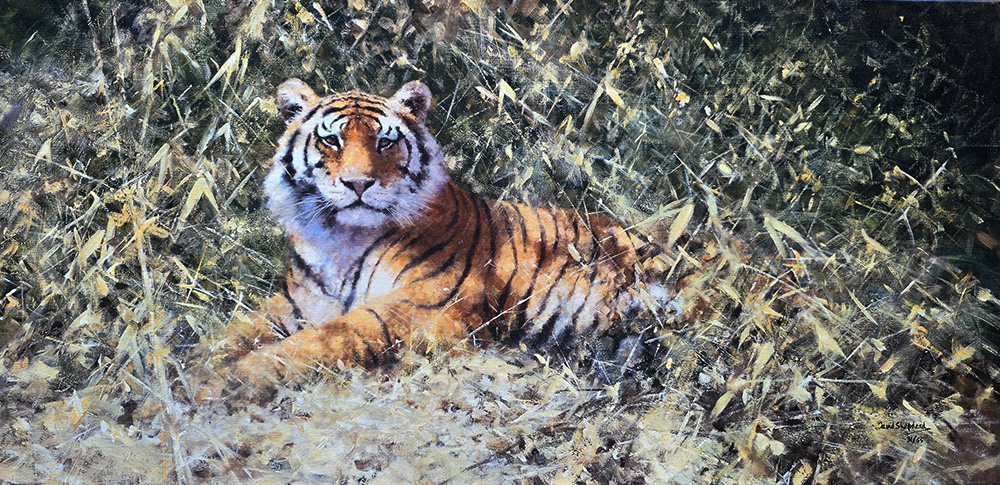 david shepherd ranthambore tiger giclee