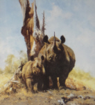 david shepherd rhino signed print