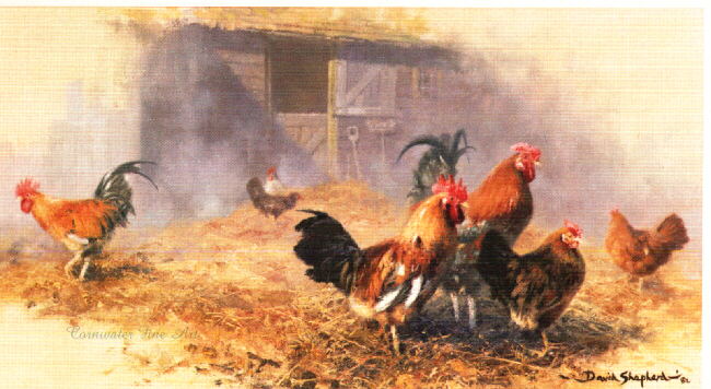 david shepherd roosters david shepherd roosters