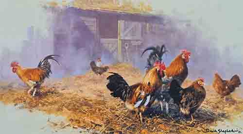 david shepherd the pride hens poultry print