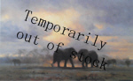 david shepherd evening thunderclouds sappi elephants print david shepherd evening thunderclouds sappi elephants print