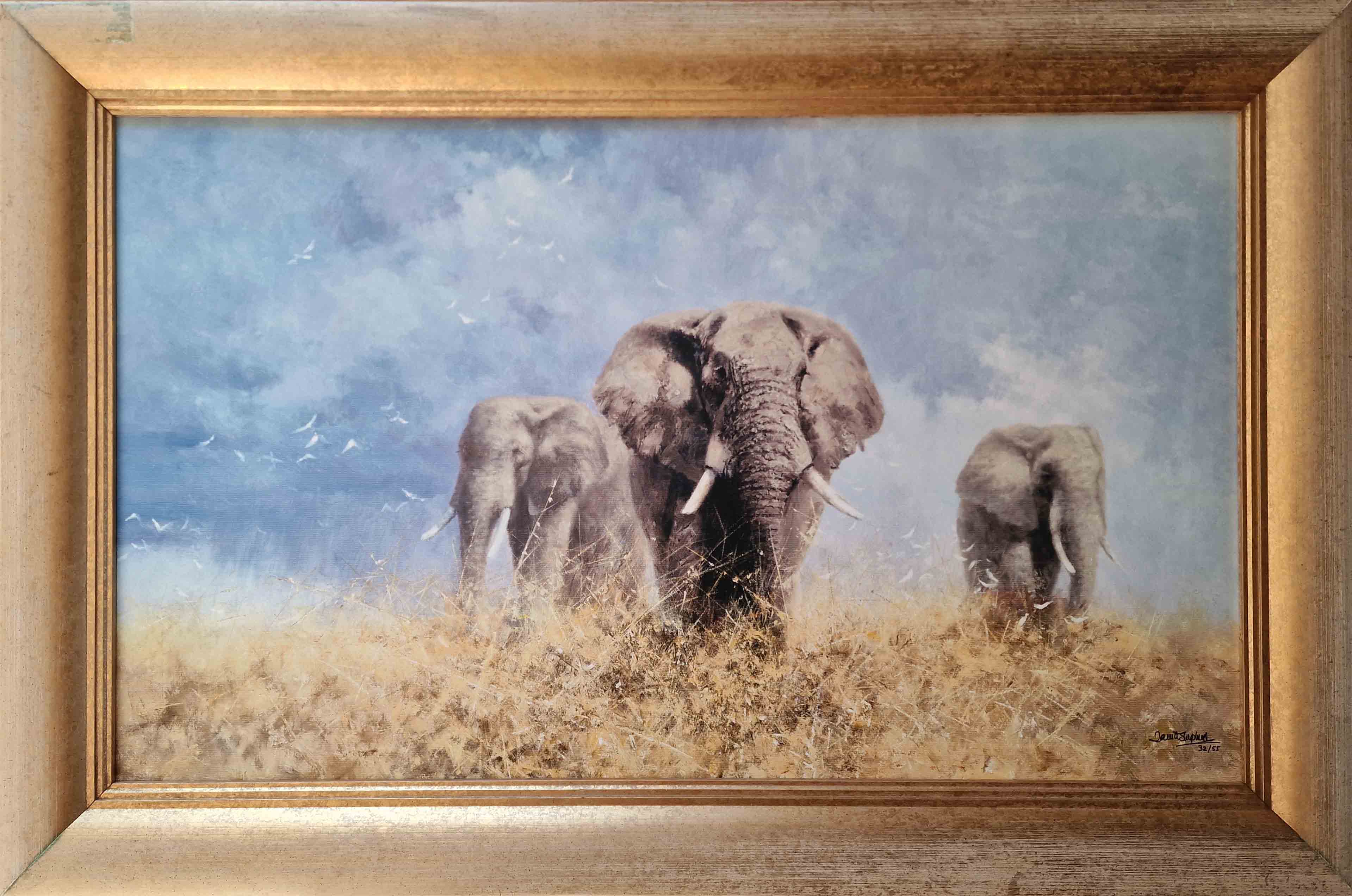 david shepherd savuti elephants giclee