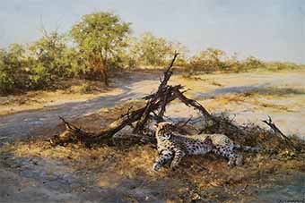 david shepherd savuti sands cheetah print