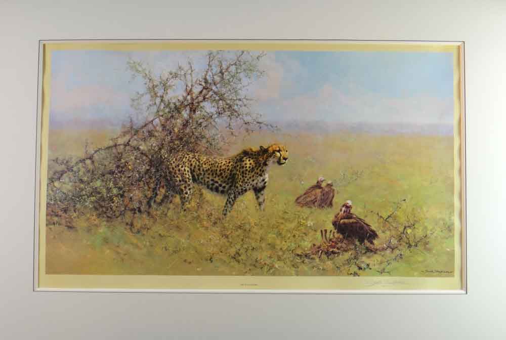 david shepherd, scavengers, cheetahs, vultures