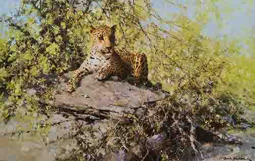 david shepherd, sentinel, leopards, print