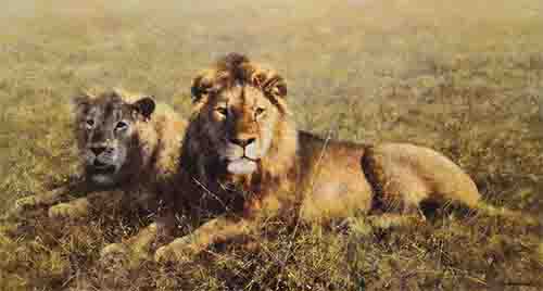 davidshepherd signed limited edition print serengeti friends