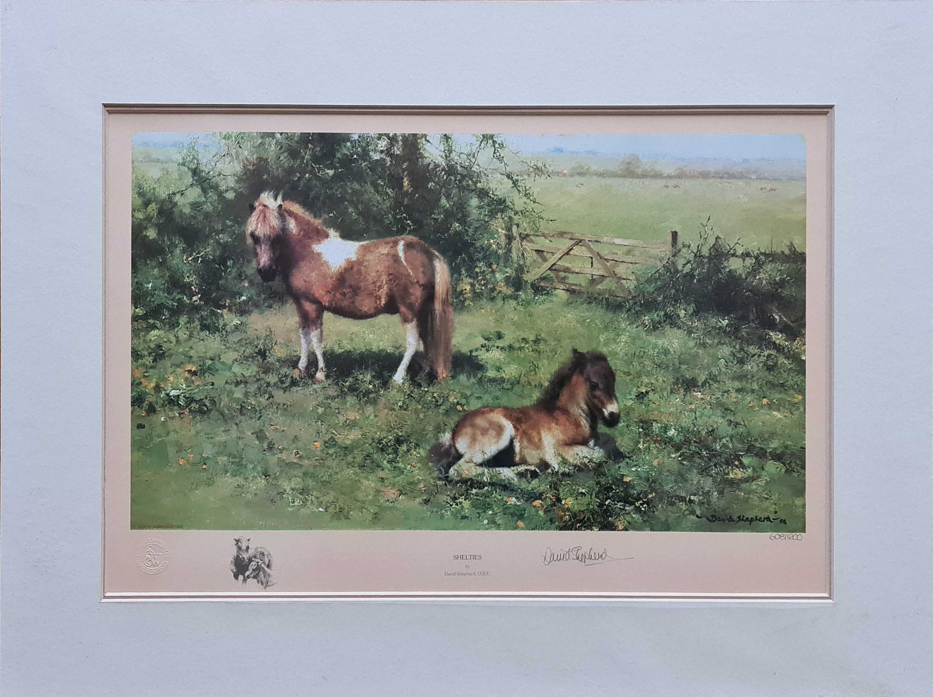 david shepherd, Shelties, signed limited edition print