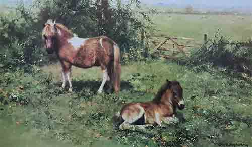 david shepherd, Shelties, horses, signed print