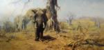 david shepherd land of the baobab trees elephants print