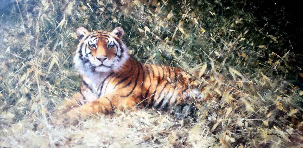 david shepherd ranthambore tiger giclee