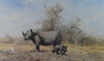 david shepherd rhino's last stand print