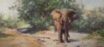 david shepherd Tembo Mzee elephants print