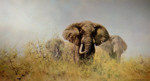 david shepherd three happy jumboselephants, signed print