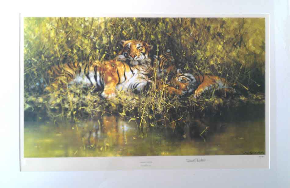 david shepherd sleepy tigers print