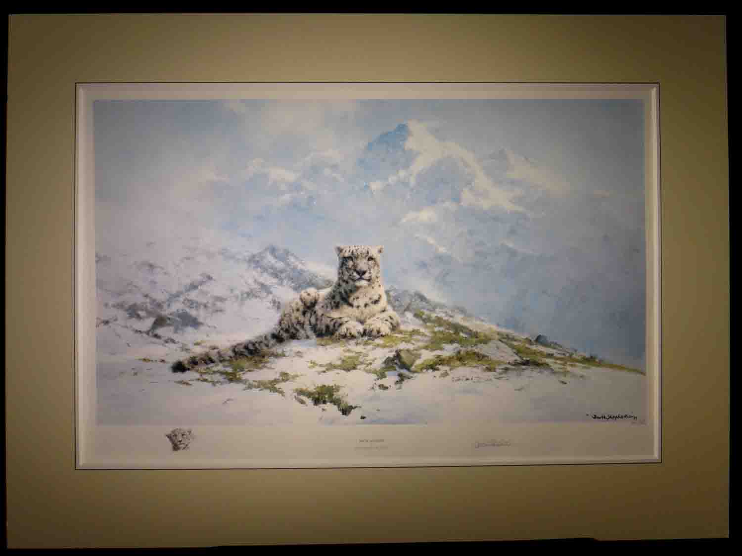 david shepherd  snow leopard, creased