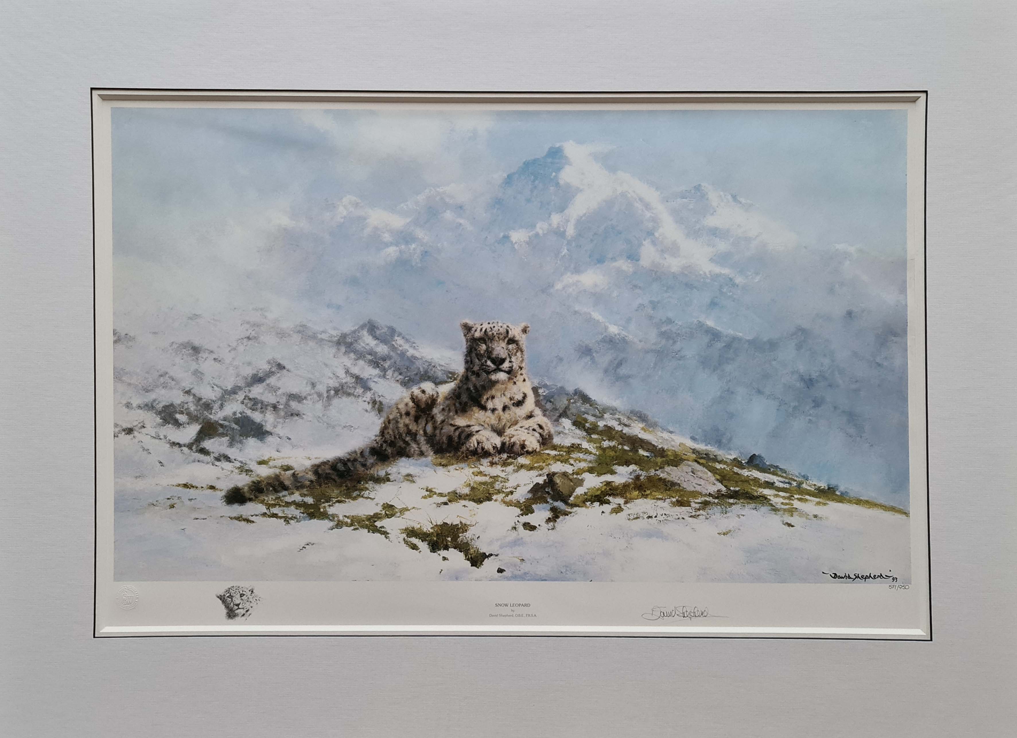 david shepherd  snow leopard