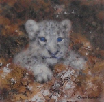 davidshepherd-snowleopardcubcameo