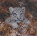 david shepherd snow leopard cub cameo, print david shepherd snow leopard cub cameo, print