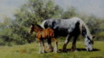 david shepherd Summertime, horses, print