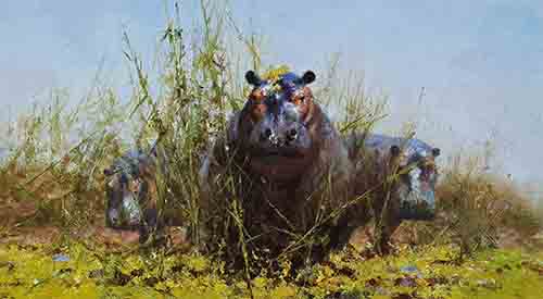 david shepherd, sunday best, hippos, prints