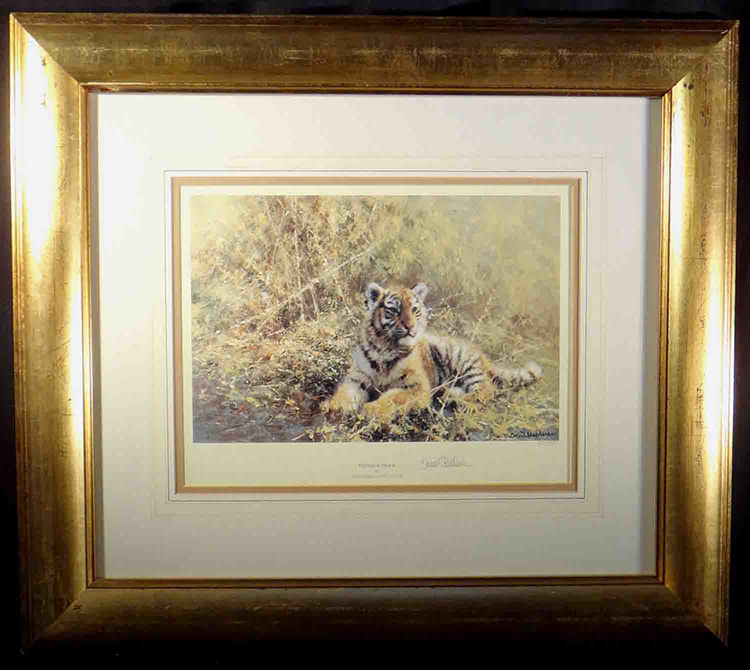 david shepherd, teenage tiger, tiger, signed limited edition print