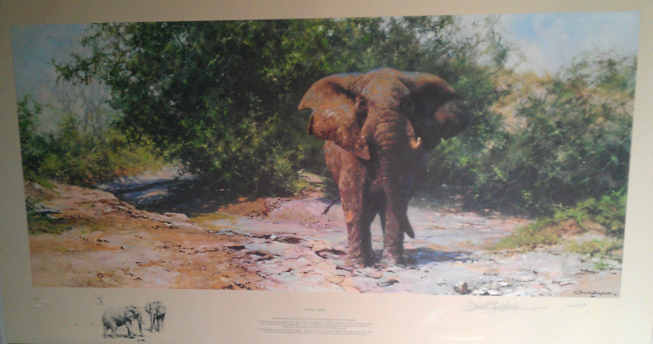 david shepherd Tembo Mzee print