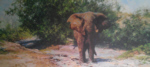 david shepherd dusty evening elephant print