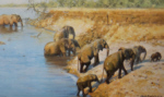 david shepherd crossing elephants, signed, limited edition, print