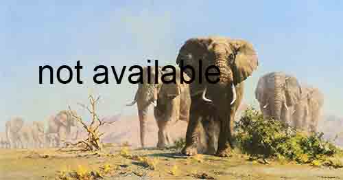 david shepherd, The Ivory is Theirs, original drawing david shepherd, The Ivory is Theirs, original drawing